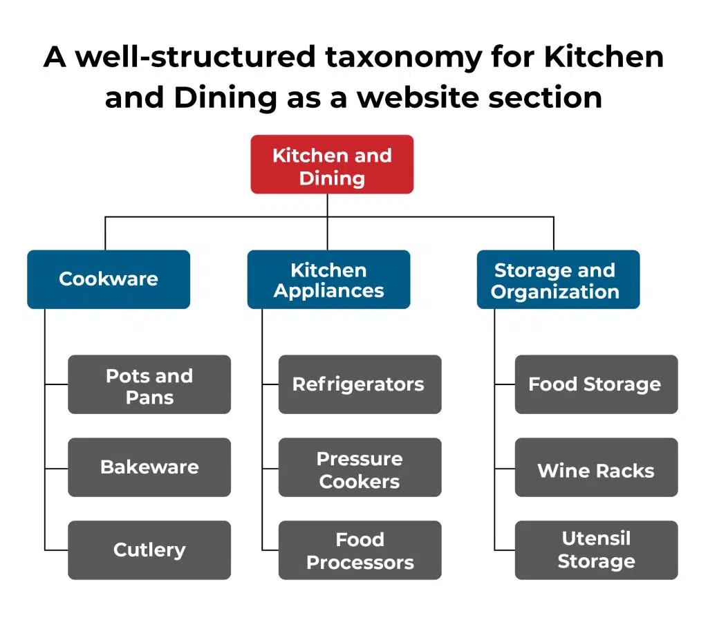 Website-Taxonomies